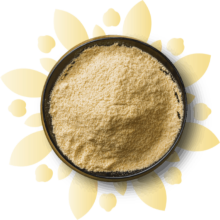 Chickpea Protein Atura