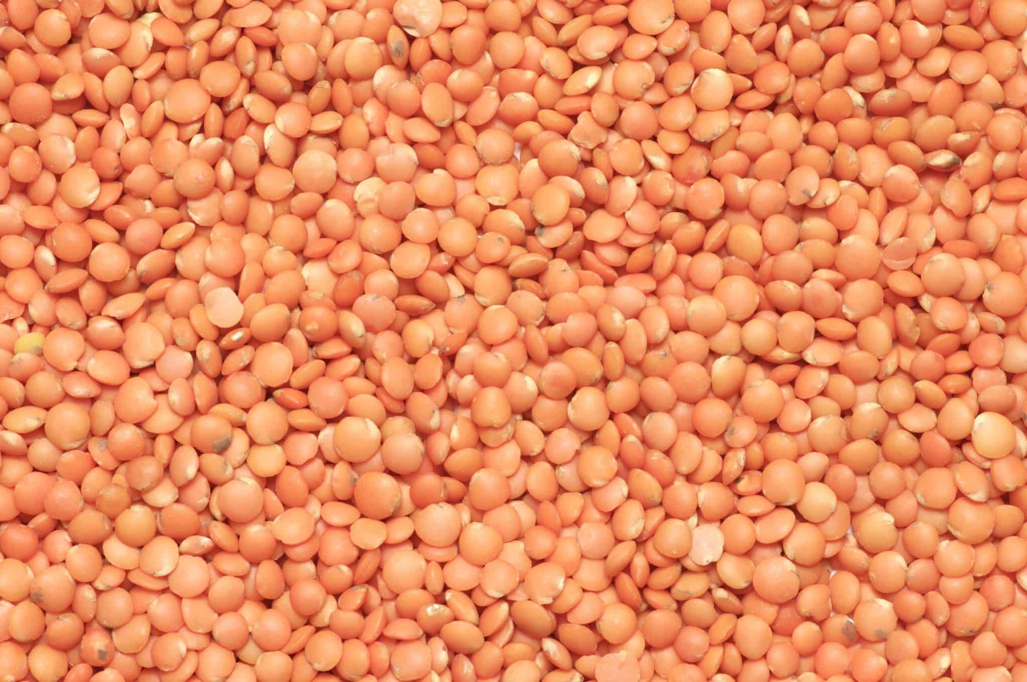 Red Lentils on the rise - Atura